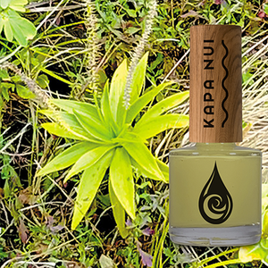 water-based nail polish in laukahi with element