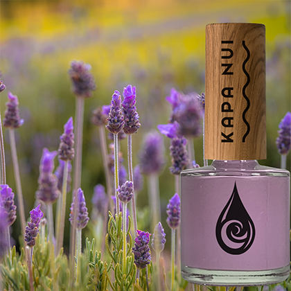 Non Toxic Nail Polish | Poniala Starter Set - Kapa Nui Nails Non Toxic Nail Polish | Poniala Starter Set - Kapa Nui Nails