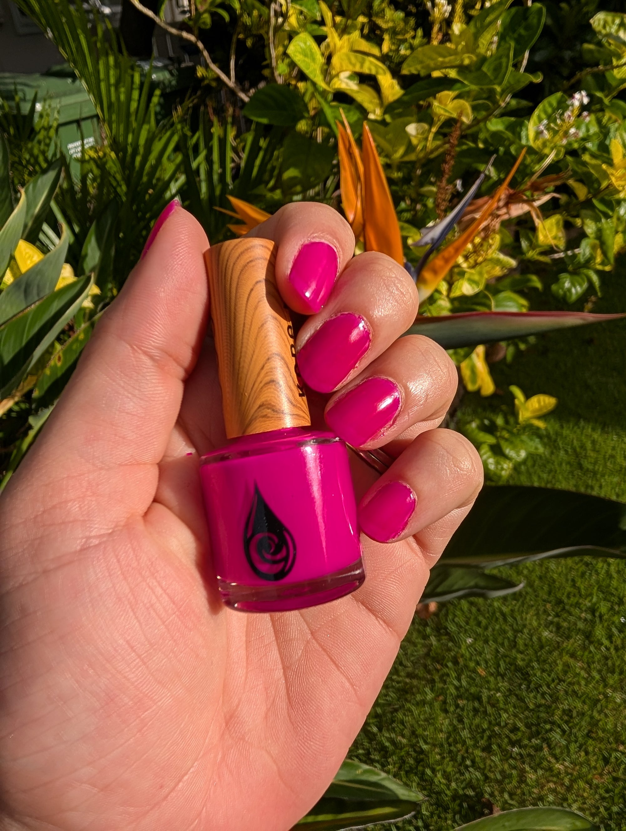 Dragon Fruit Starter Set - Non Toxic Nail Polish