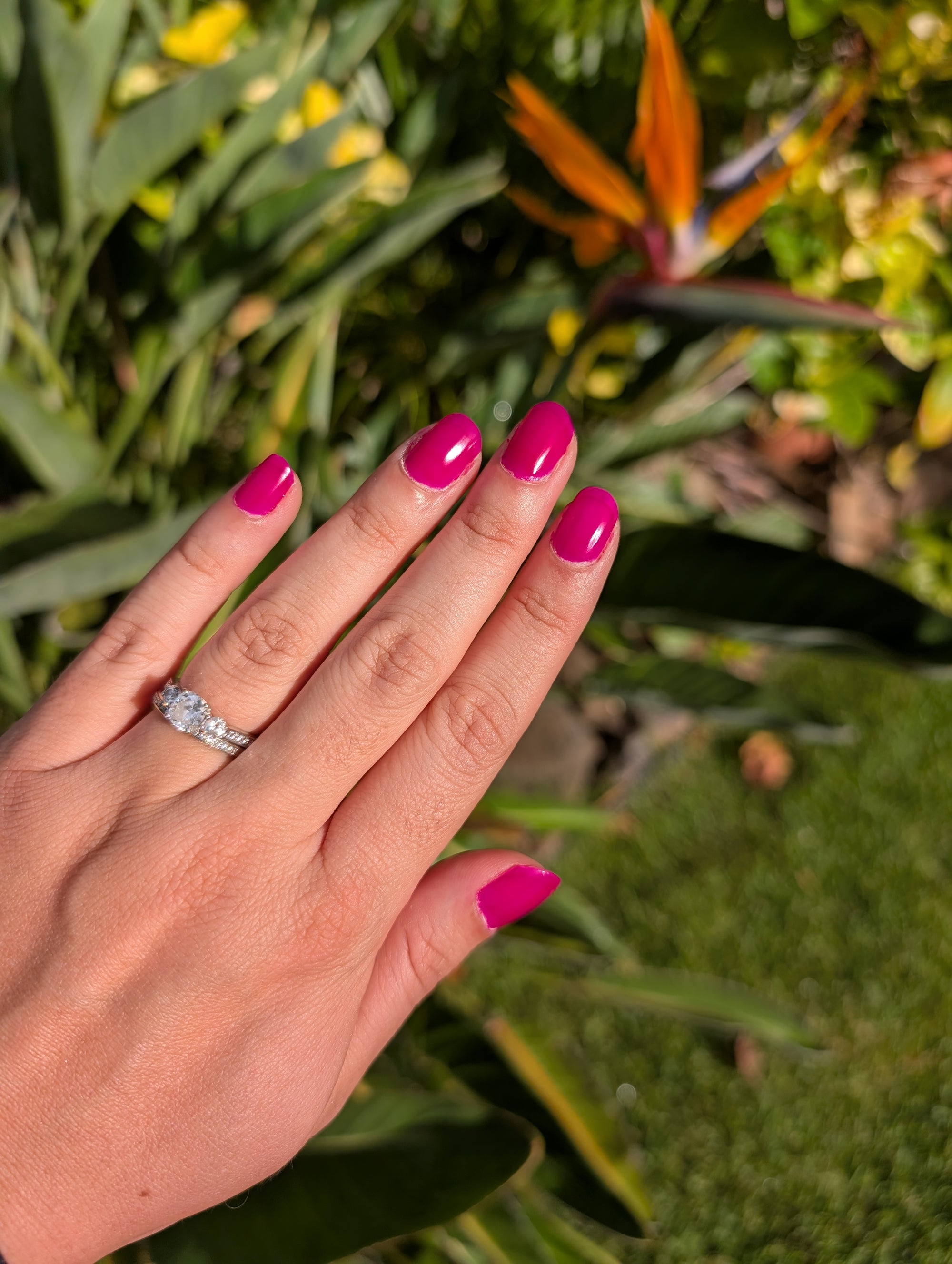 Dragon Fruit Starter Set - Non Toxic Nail Polish