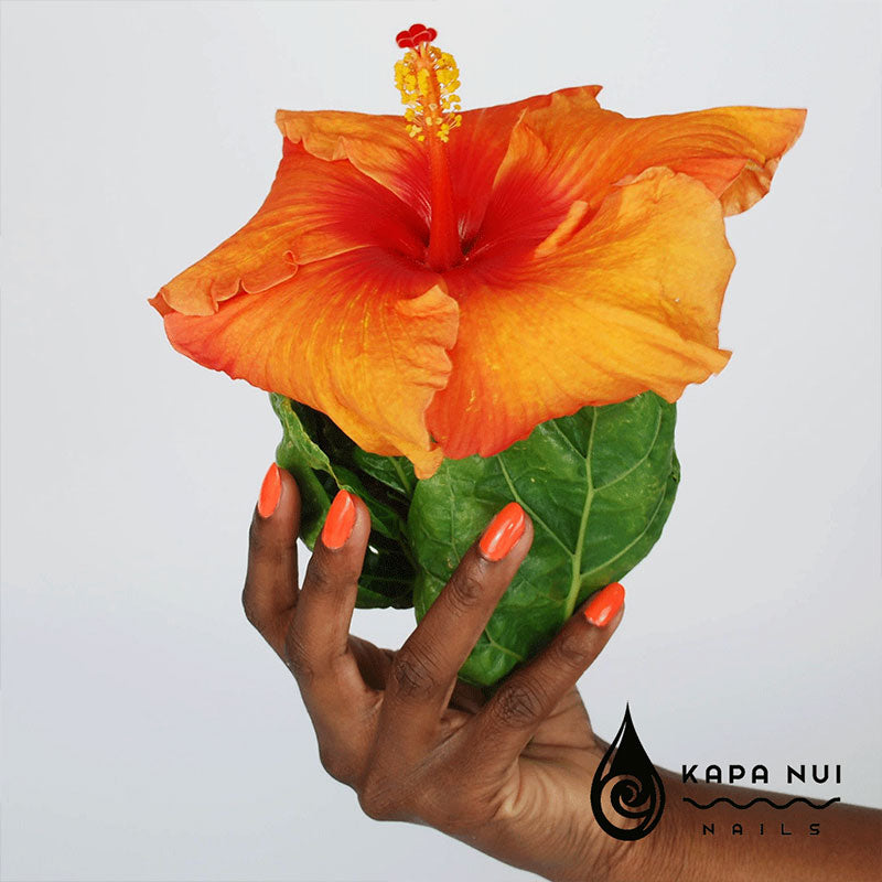 orange hibiscus flower being held by hand wearing olena non toxic nail polish