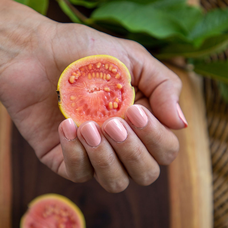 strawberry guava non toxic nail polish hands holding strawberry guava fruit