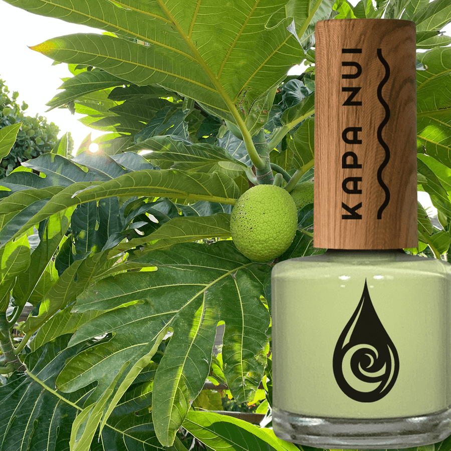 Sustainable non toxic nail polish by Kapa Nui Nails Ulu Starter Set